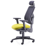 Olsen Ergonomic Mesh Back Posture Chair with Headrest