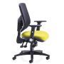 Olsen Ergonomic Mesh Back Posture Chair with Headrest