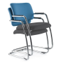 Matrix Cantilever Frame Chair