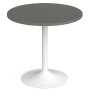 Circular Trumpet Base Meeting Table